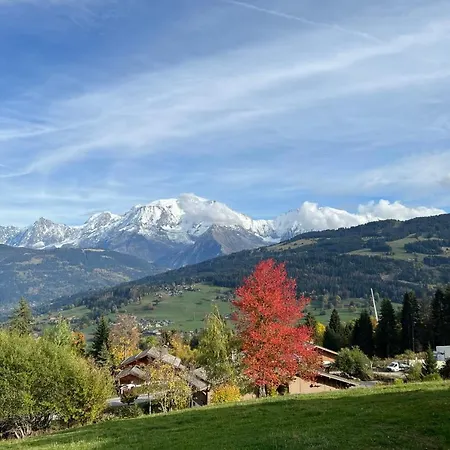 La Edelweiss - Welkeys Holiday home